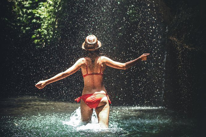 Trinidad Rainforest Hike to Waterfall - What to Expect from the Tour