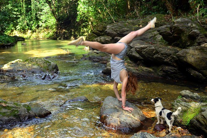 Trinidad Rainforest Hike to Waterfall - The Guides: The Heart of the Experience