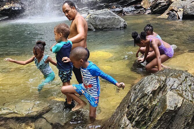 Trinidad Rainforest Hike to Waterfall - Authenticity and Value