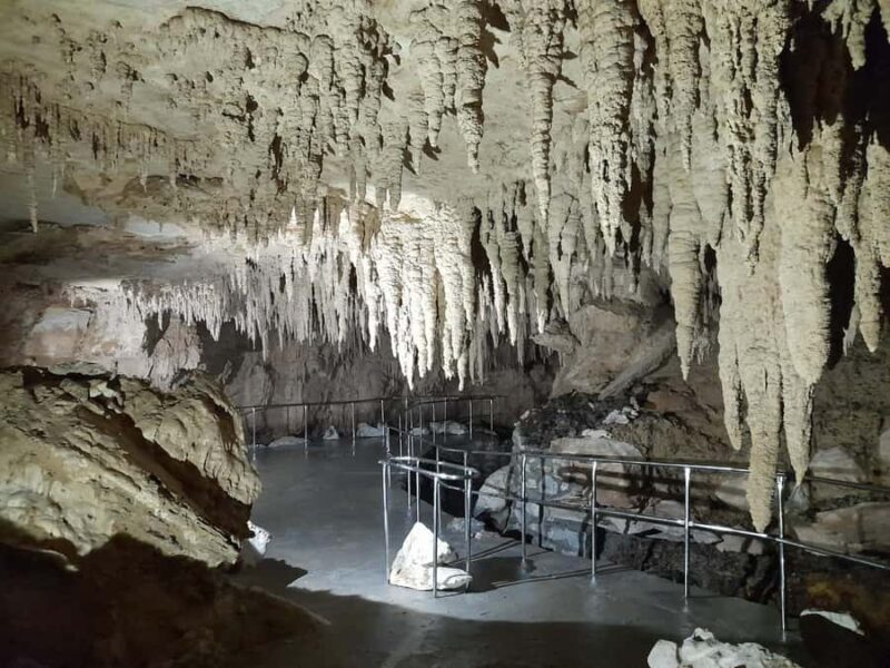TrioDEAL MilkyWay GLOWWORM Cave, Kiwi Bird & Whangarei Falls - Key Points