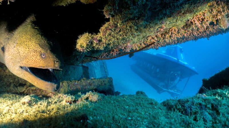 Triolet: Submarine Dive with Hotel Transfers - An In-Depth Look at the Submarine Experience