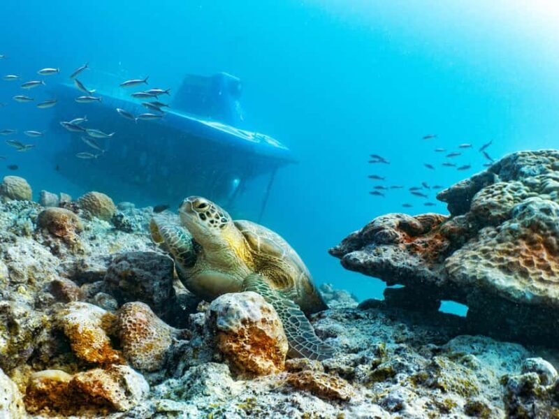 Triolet: Submarine Dive with Hotel Transfers - Who Should Book This Tour?