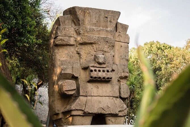 Trip in the Anthropology Museum Mexico City - Who Will Love This Tour?
