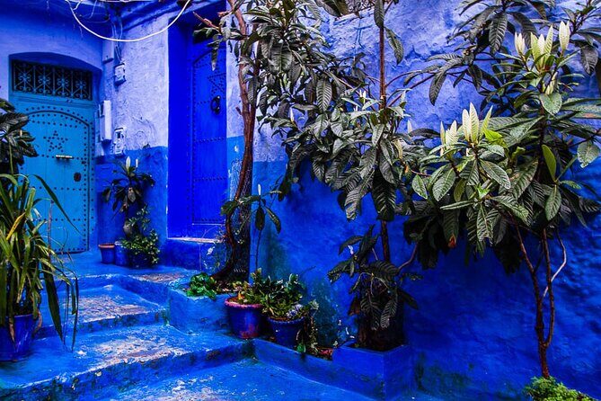 Trip to Chefchaouen: All-Inclusive Tour with Lunch Included - A Detailed Look at the All-Inclusive Chefchaouen Day Trip from Tangier