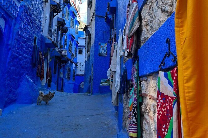 Trip to Chefchaouen: All-Inclusive Tour with Lunch Included - Who Should Consider This Tour?