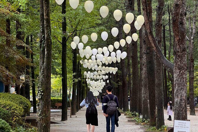 Trip to Nami Island with Petite France & Italian Village, Garden of Morning Calm - What Really Matters: The Practicalities