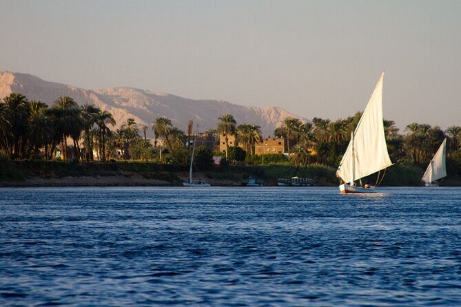Trip To Nubian Village by motorboat From Aswan - In-Depth Look at the Itinerary