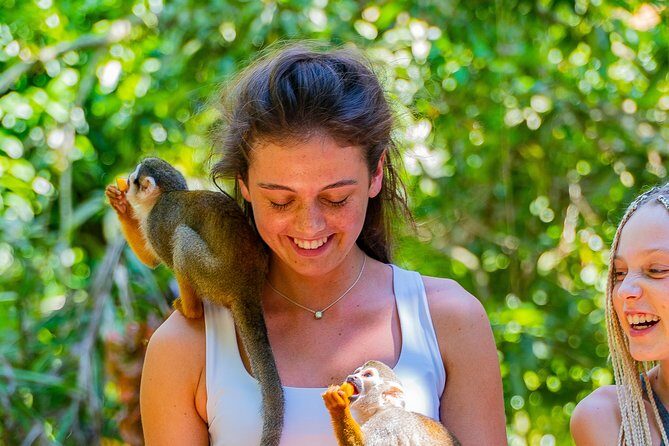 Triple fun! Monkeyland + Damajagua Waterfalls + Buggies from Puerto Plata - Transportation and Logistics