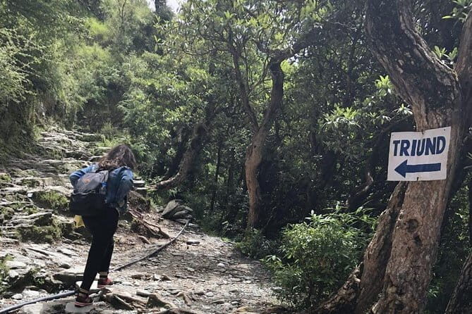 Triund Trek - Camp at Triund: Overnight in Nature