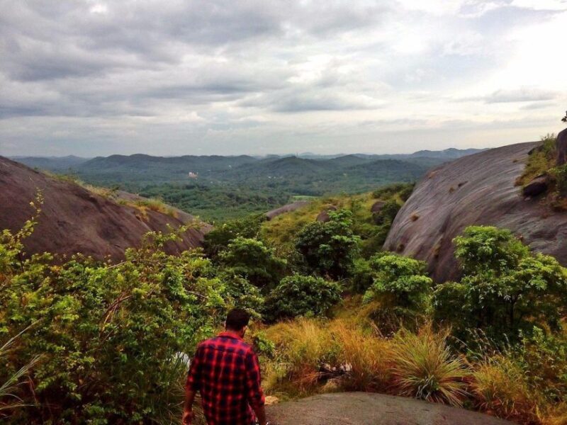 Trivandrum: Jatayu Nature Park & Varkala Beach Private Tour - What Makes This Tour Stand Out?