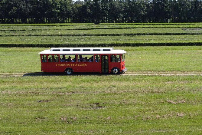Trolley Tour in Wadmalaw Island of South Carolina - An In-Depth Look at the Trolley Tour Experience