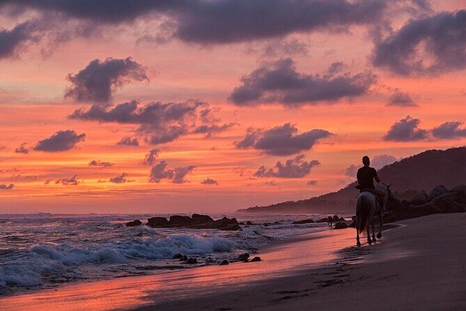 Troncones, Manzanillo Bay and Majahua Beach Tour - A Closer Look at the Itinerary