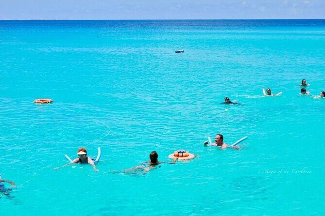 Tropical Catamaran Snorkeling & Sailing - Key Points