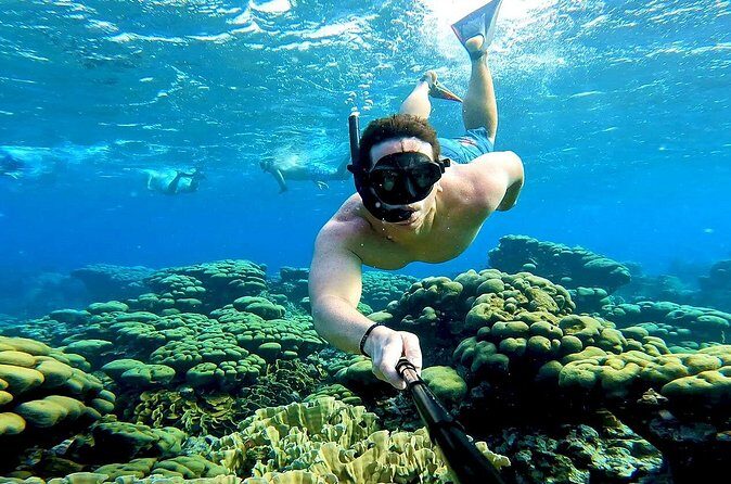 Tropical Dream Snorkel and Dinner Sail in Aruba - Who Will Love This Tour?