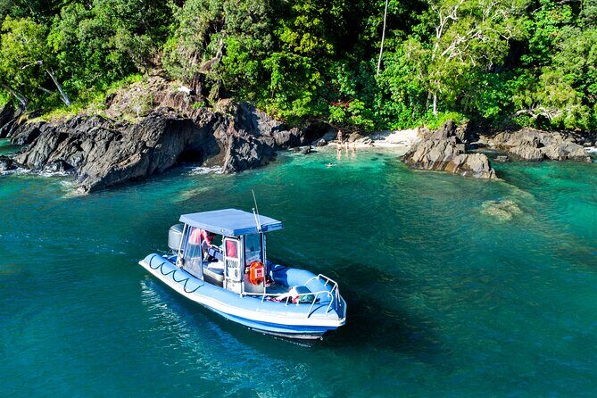 Tropical Dunk Island Half Day Activity from Mission Beach - What Makes This Tour Special?