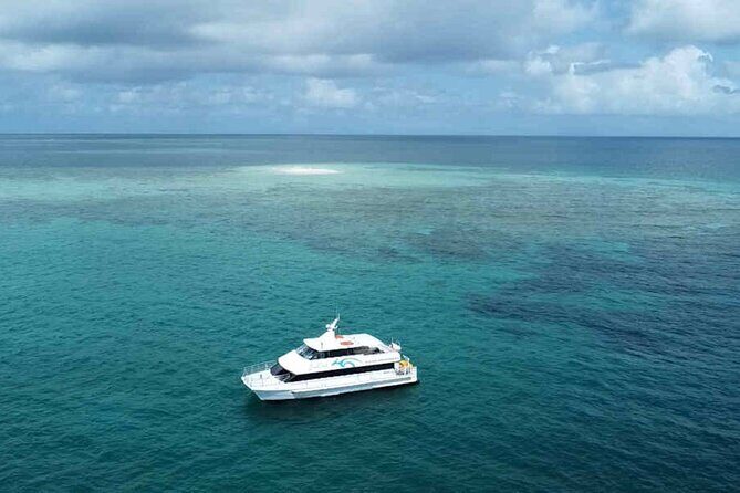 Tropical Dunk Island Half Day Activity from Mission Beach - In-Depth: Itinerary Breakdown