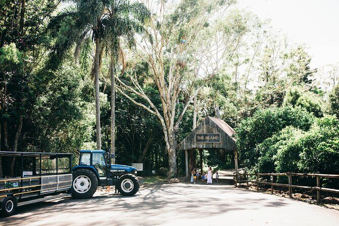 Tropical Fruit World Farm Full Tour - Key Points