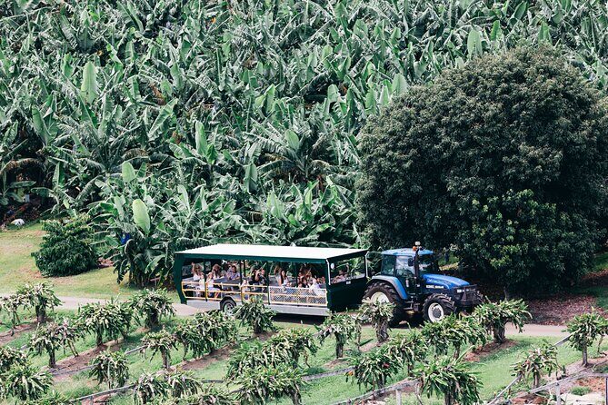 Tropical Fruit World Farm Full Tour - The Sum Up