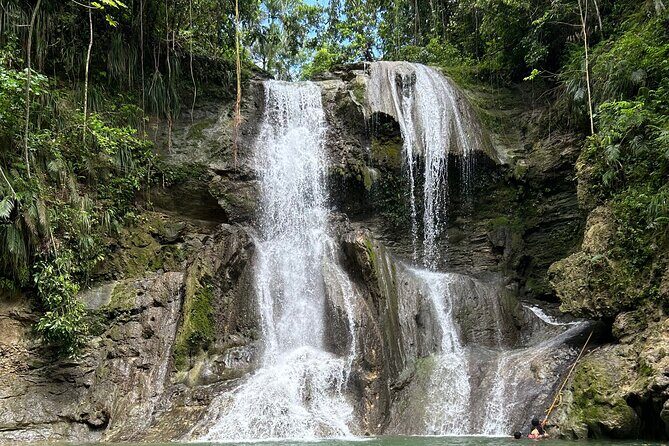 Tropical Rainforest Luxury Experiences - An In-Depth Look at the Tour Itinerary