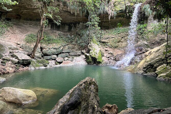Tropical Rainforest Luxury Experiences - Authenticity and Value According to Reviews