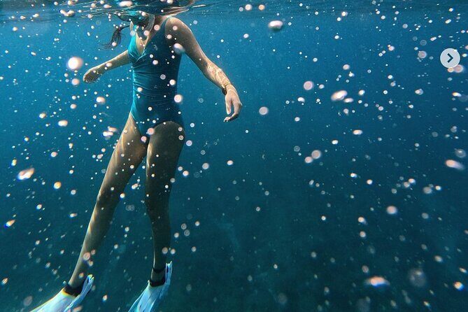 Tropical Reef & Wildlife Boat Snorkel Adventure - What to Expect on the Snorkeling Tour