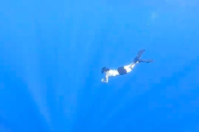 Tropical Reef & Wildlife Boat Snorkel Adventure - FAQs