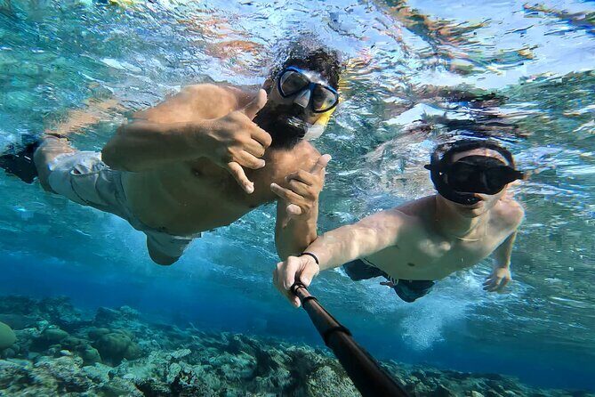 Tropical Sailing Experience with BBQ Lunch or BBQ Dinner in Aruba - Pricing and Overall Value