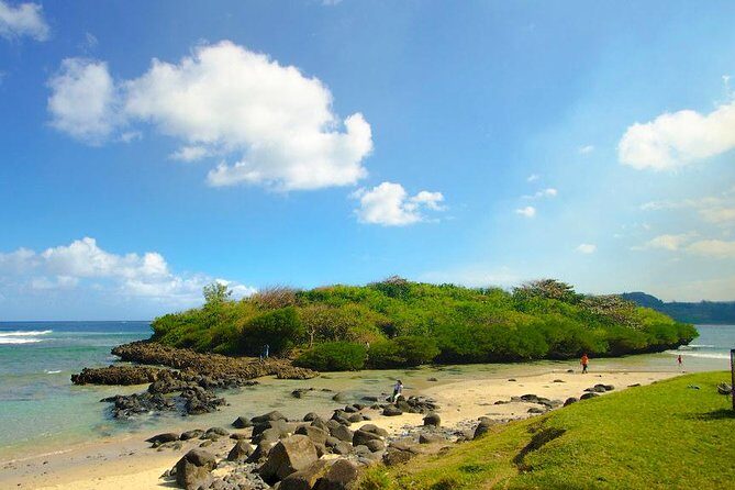 Tropical South West of Mauritius: Full-day All Inclusive tour (Visit to 3 parks) - Final Thoughts