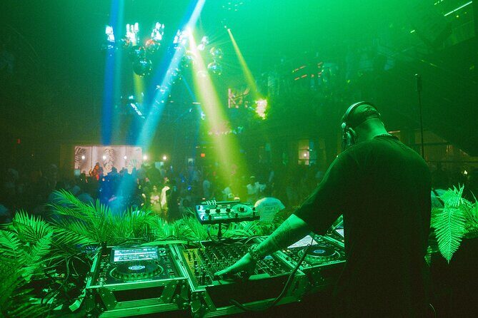 Tropicalia Disco Party Night Nightclub - Key Points