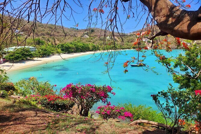 "Tropically Yours" - Key Points