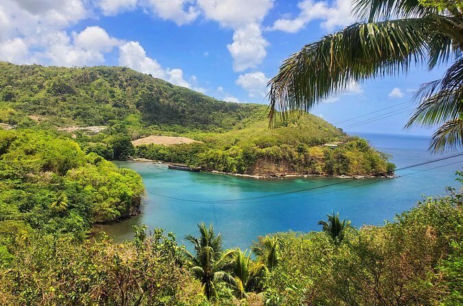 "Tropically Yours" - The Sum Up: Is Tropically Yours Right for You?