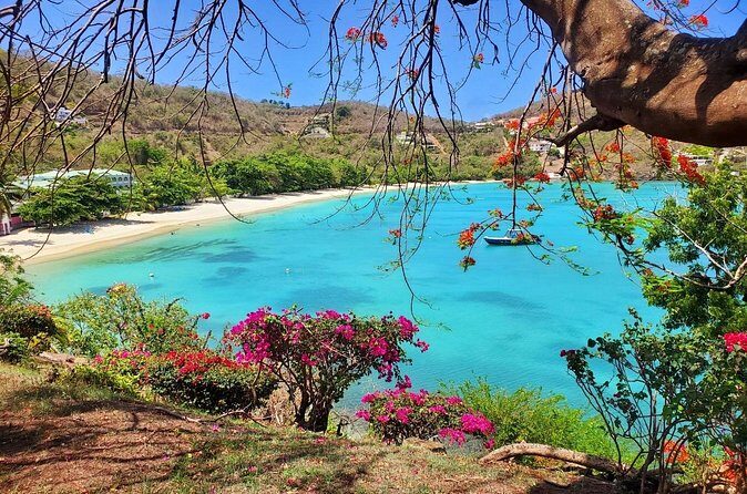 "Tropically Yours" - FAQ