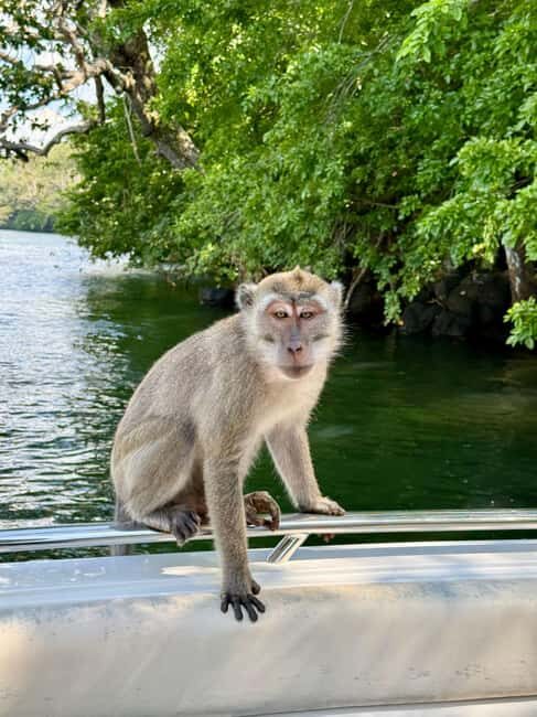 Trou D'Eau Douce: 5 island tour Mauritius with lunch/drinks - A Practical Look at the Mauritius 5-Island Tour