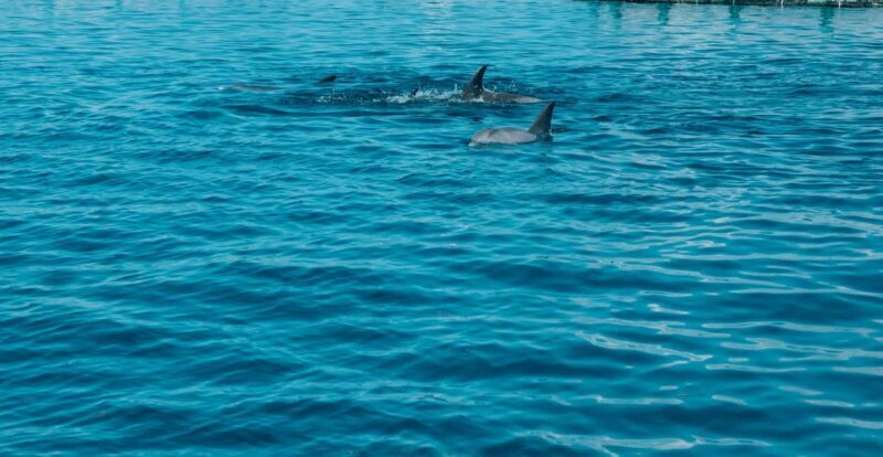 Trou D'Eau Douce: 5 island tour Mauritius with lunch/drinks - Key Points