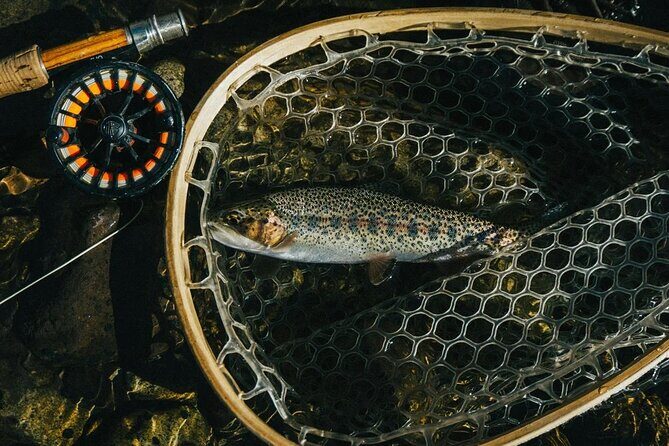 Trout Fishing in Miyazaki Mountains - Considerations