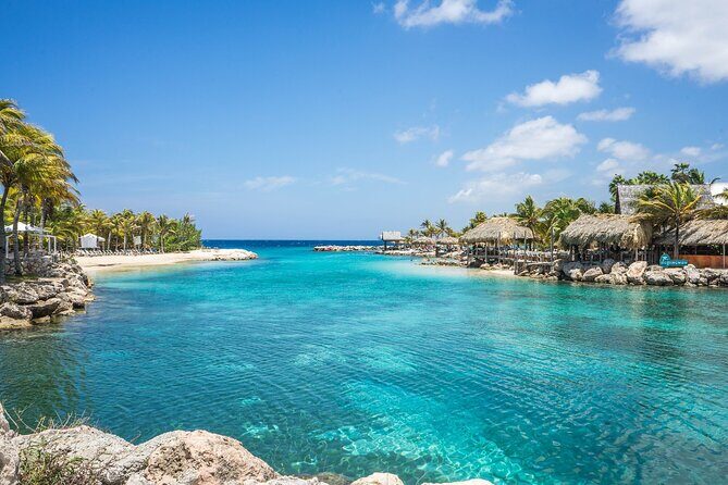 TRS Turquesa- Round Trip Shuttle - Punta Cana Airport - Pricing and Value