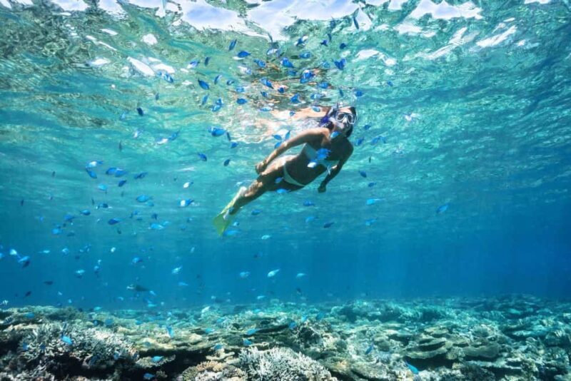 Try Dive for first time in fujairah - Key Points