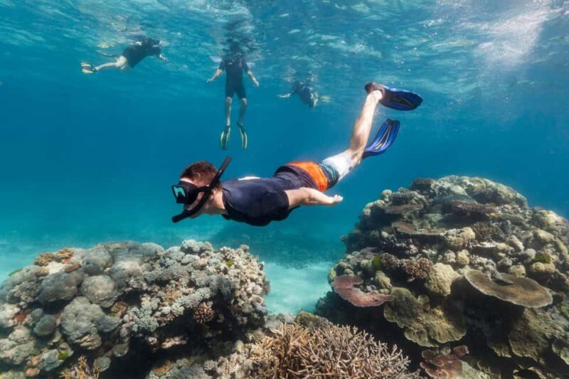 Try Dive for first time in fujairah - The Itinerary: What to Expect from Start to Finish