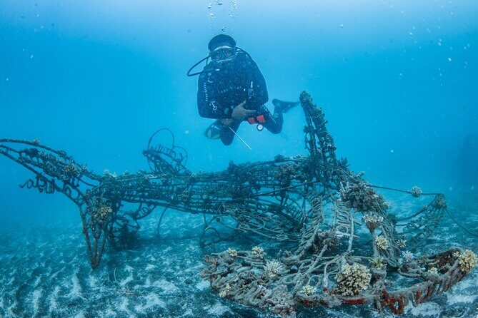 Try Dive Program in the Biorock Pemuteran - What to Expect: From Pool Practice to Underwater Wonders