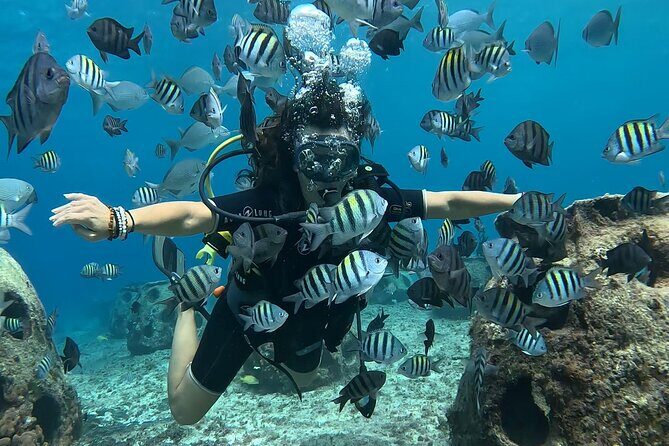 Try diving without previous experience from shore - The Actual Experience: Step by Step
