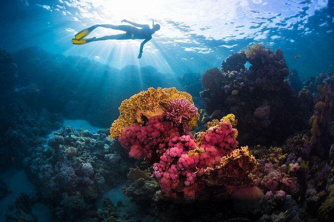 Try Freediving on Nusa Penida - The Itinerary: What to Expect