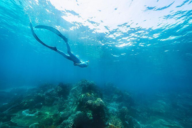 Try Freediving on Nusa Penida - Final Thoughts