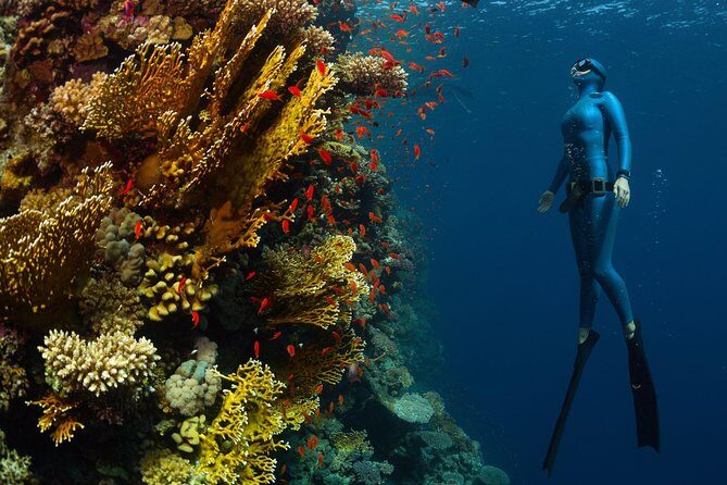 Try Freediving on Nusa Penida - FAQ