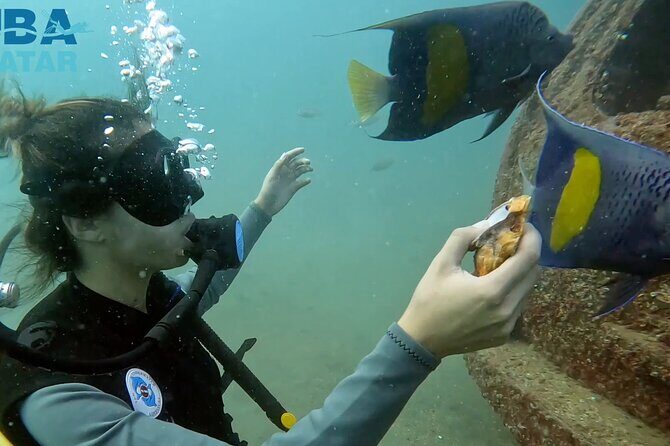 Try Scuba dive in Qatar - Why This Experience Offers Good Value