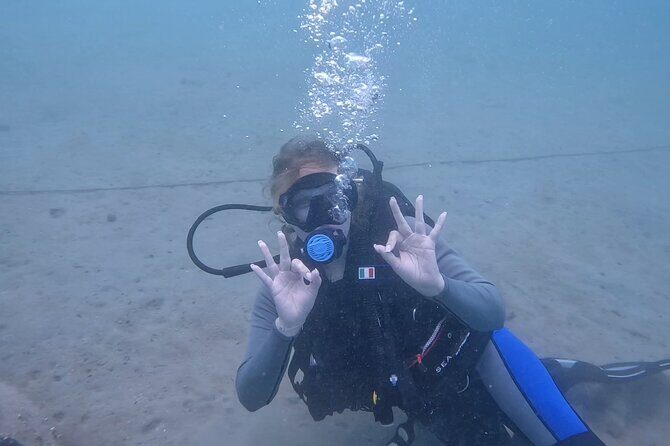 Try Scuba dive in Qatar - The Sum Up: Who Is This Tour Best For?