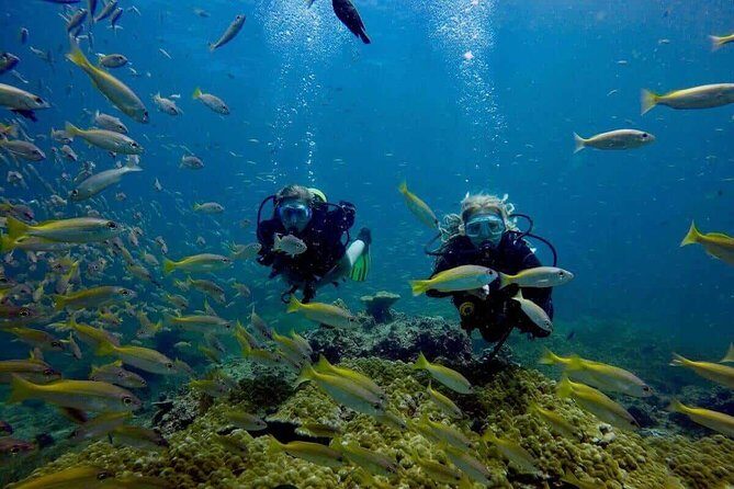 Try Scuba Diving - An Overview of the Experience