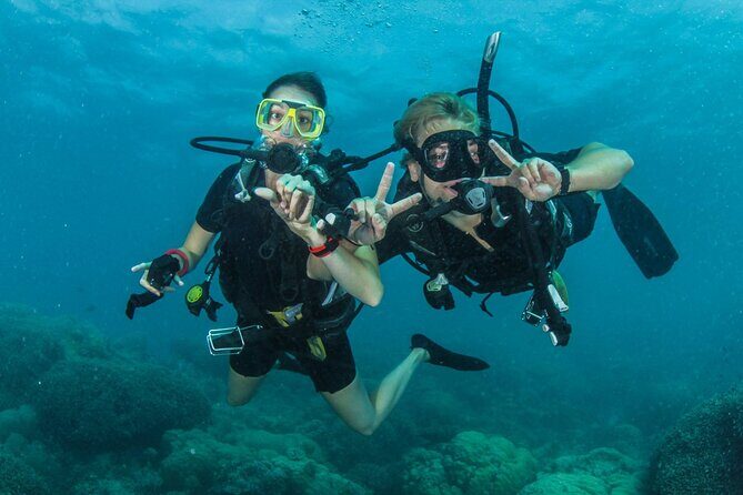 Try Scuba Diving Experience in Fujairah - An In-Depth Look at the Experience