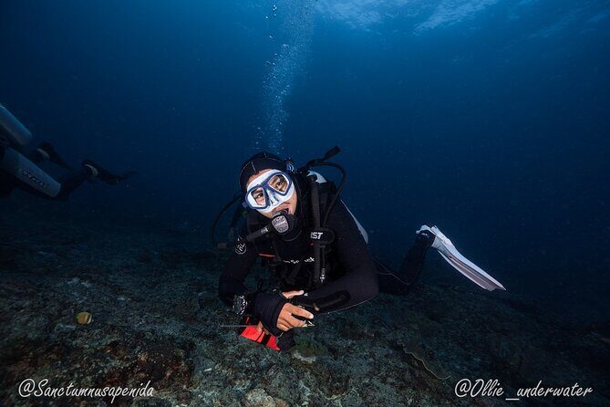 Try Scuba Diving for Beginners with manta rays (Non - Certified) - An In-Depth Look at the Experience