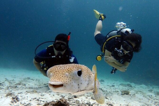 Try Scuba Diving in Racha Yai and Noi for Non-Certified - Authentic Voices: What Travelers Say