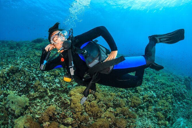 Try Scuba Diving in Racha Yai and Noi for Non-Certified - Who Will Appreciate This Experience?